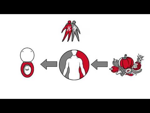 Видео о препарате Тромкардин Tromcardin комплекс №120